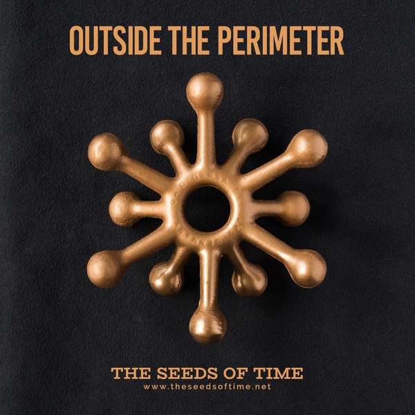 Album cover art for Outside The Perimeter - a release by an independent prog rock band called The Seeds of Time; the image features a bronze star-shaped object of an unknown origin photographed on black velvet.