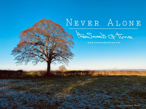Photograph by Andrea Wade for song Never Alone from album titled Spirit