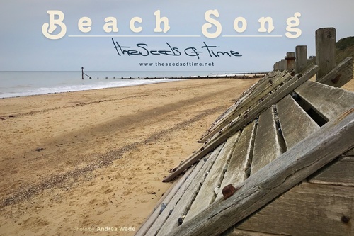 Photograph by Andrea Wade for song 'Beach Song, Pt. 1' from album titled 	Pumpkin Soup on which there is shown a sandy beach with wooden wave breakers