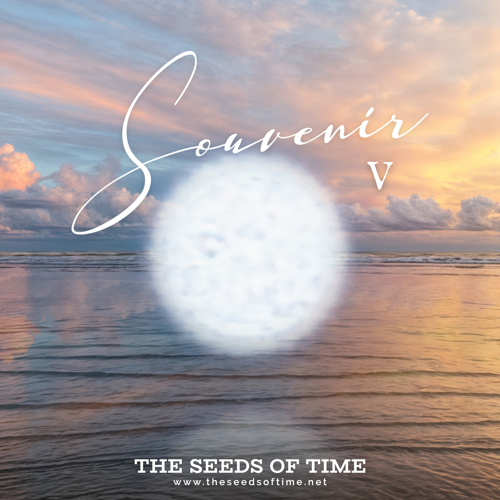 Track image for The Seeds of Time track titled Souvenir V showing a mysterious white orb hovering above a majestic beach view during sunset hours