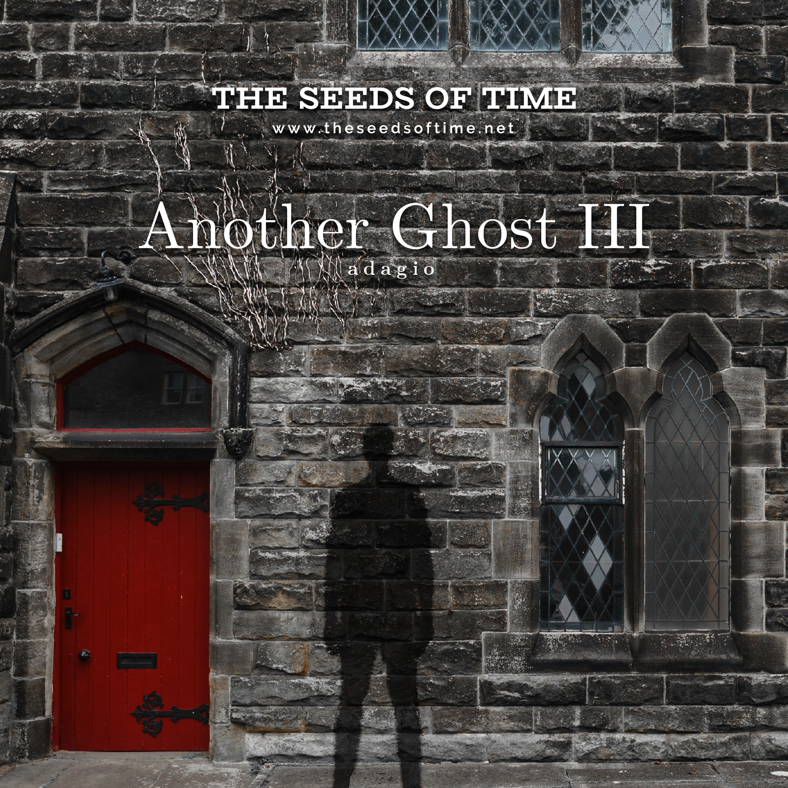 Track image for The Seeds of Time track titled Another Ghost 3 (Adagio)