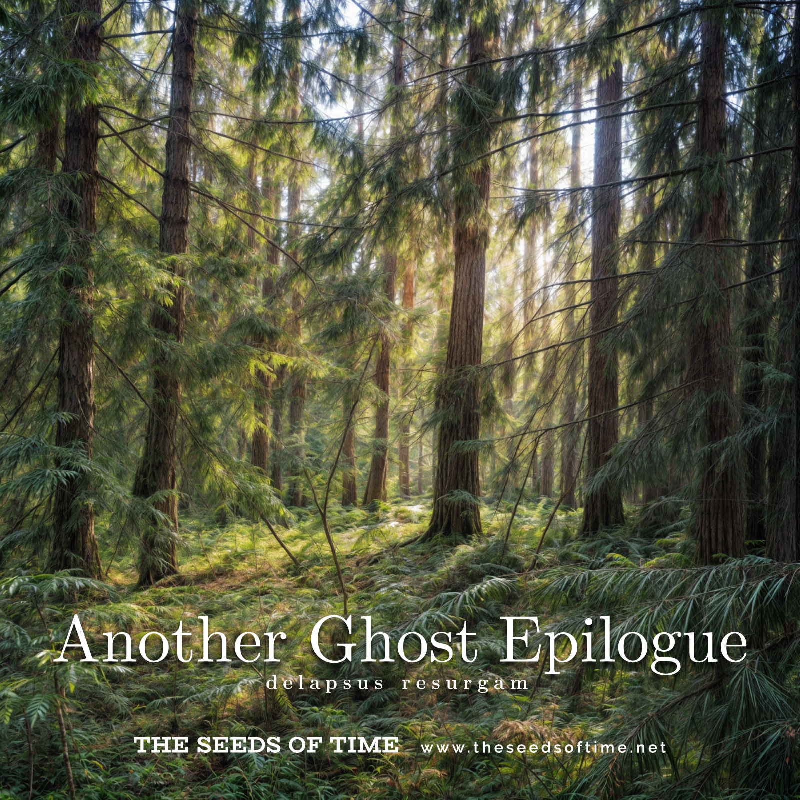 Track image for The Seeds of Time track titled Another Ghost: Epilogue