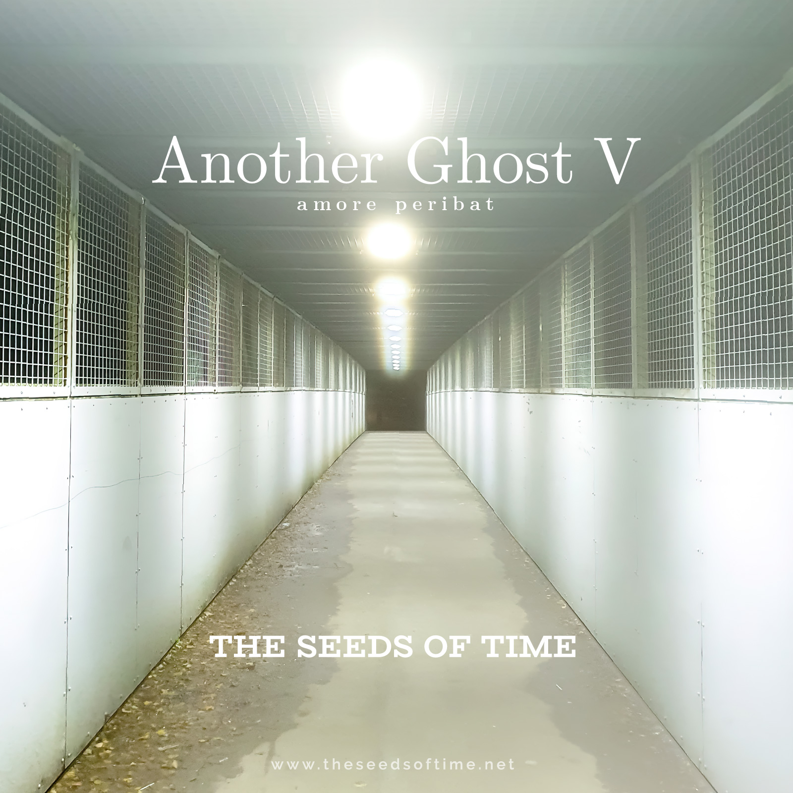 Track image for The Seeds of Time track titled Another Ghost 5 (Amore Peribat)