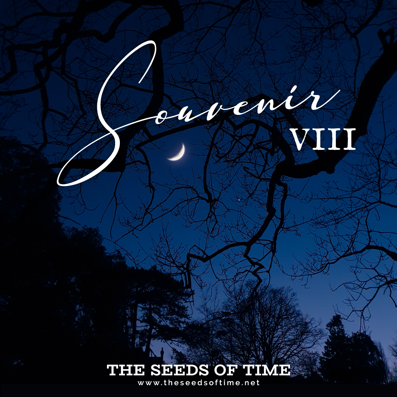 Track image for The Seeds of Time track titled Souvenir VIII showing a night ambience view of a dark blue sky with tree branches pure black visible against it and the Moon crescent intertwined in them