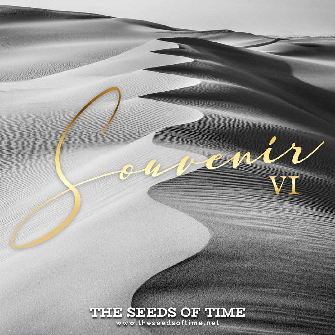 Track image for The Seeds of Time track titled Souvenir VI showing black and white photograph of sand dunes snaking away into the horizon